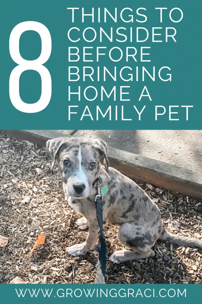 Are you considering a new family pet? Check out this list of things to consider before bringing home a family pet to be sure!